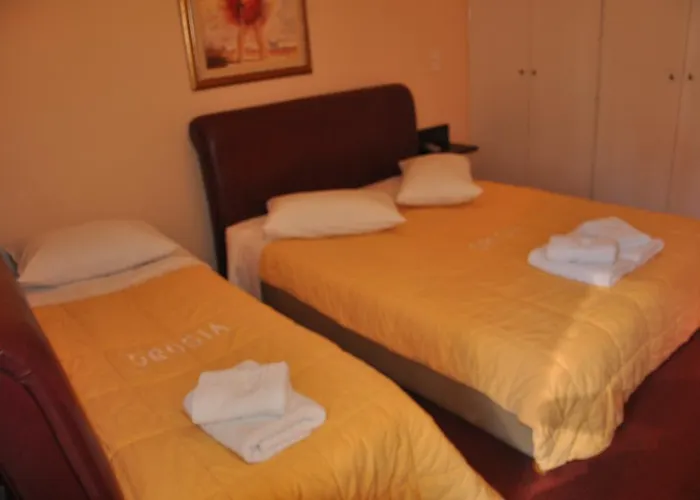 Ξενοδοχείο Drosia 2*