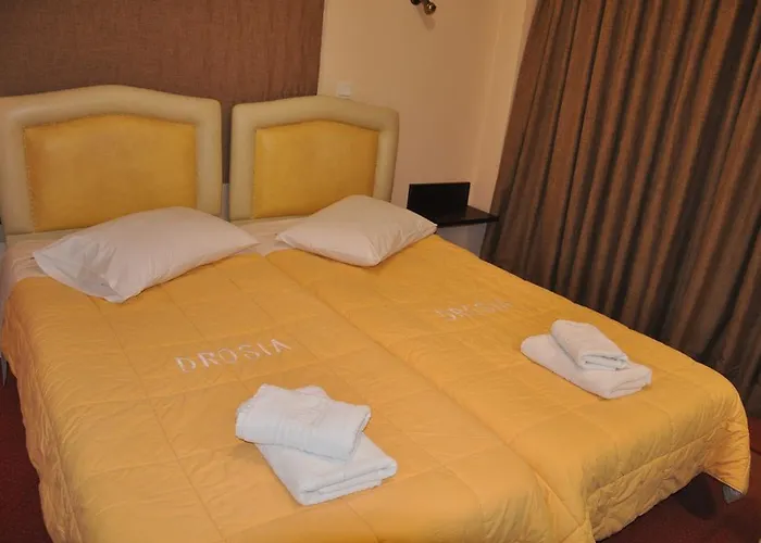 Ξενοδοχείο Drosia 2*